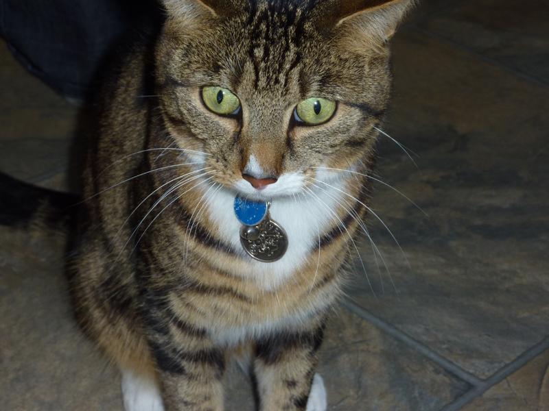 post-12251-090867700 1327092211_thumb.jp