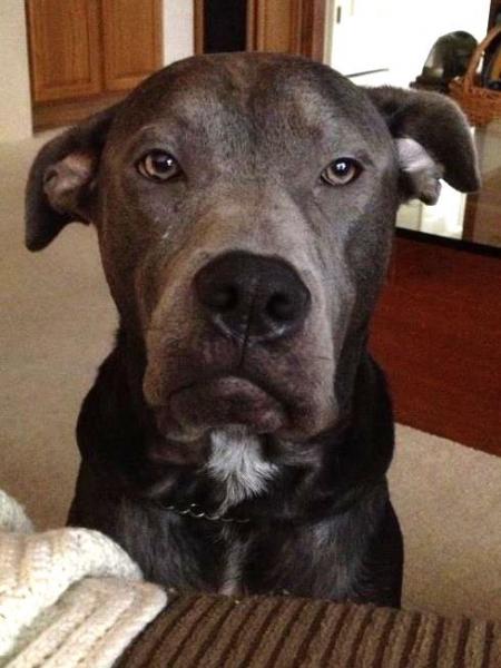 post-19010-0-39654200-1380300426_thumb.j