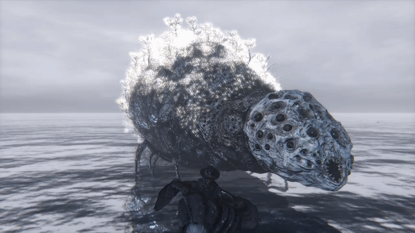 bb.gif.89bbc2551b8fadd3bd550c9aed845b7e.