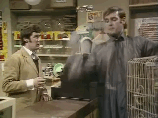 56edbd143056a_pJy0vO6-Imgur.gif.7531ca33