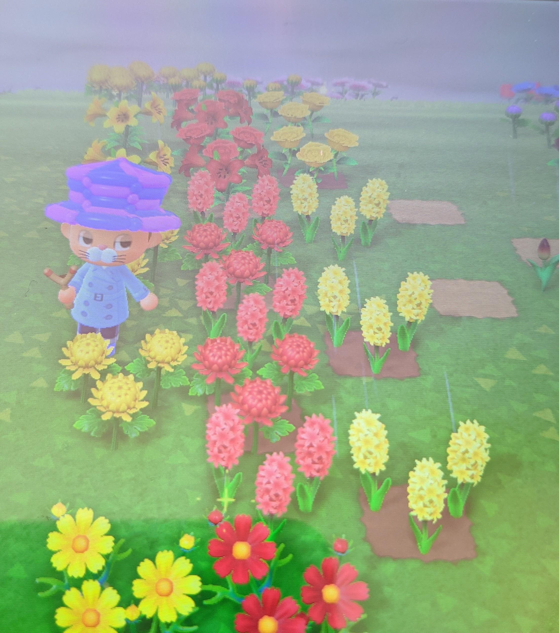 [View 44+] Parabolic Antenna Animal Crossing New Horizons